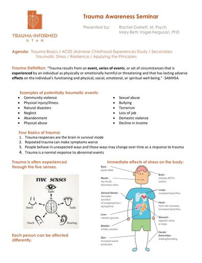 Trauma 101 The Basics   Taking the BS (Blame and Shame) Out of Trauma Session Handouts (Mary Beth Vogel Ferguson & Rachel Garrett)